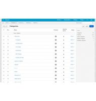 Age Verify Access Popup