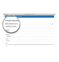 Hidden fields in Checkout