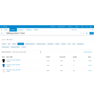 CS-Cart (1 storefront)