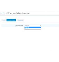 Default Store Language