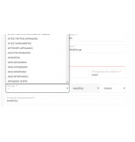 Δυσπρόσιτες περιοχες στο Ταμείο